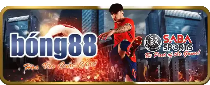 Đa dạng môn thể thao tại YCS65
